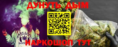apvp Кингисепп